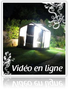 La serre de fleursdubien se découvre