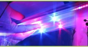 Test du système d’éclairage horticole aux LEDs SpectraTUBE
