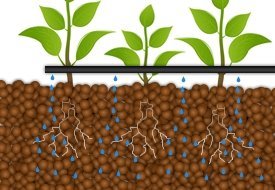 Les milieux de culture hydroponique de galets de l'argile élargi