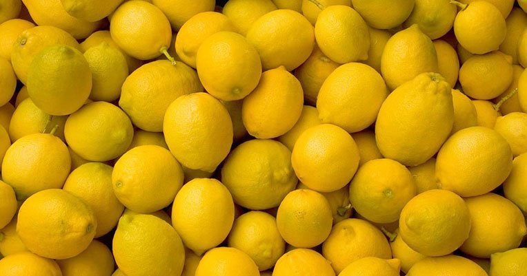 cultiver citrons