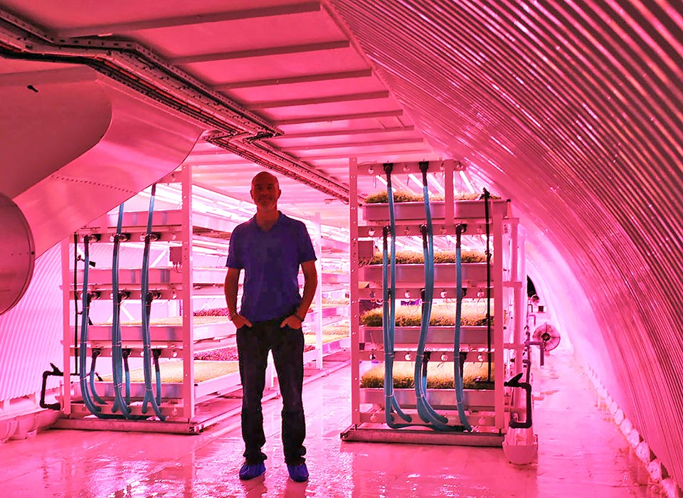 london-underground-farm