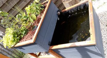 Aqua Potager : système aquaponique du fabricant O’Bio Potager