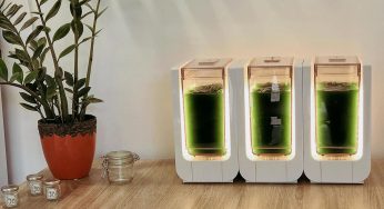 Bloom : cultivez de la spiruline fraîche chez vous.