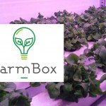 farmbox