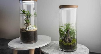 EcoTerra : terrarium autonome en financement participatif.