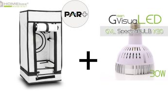L’alliance entre une HomeBox Q30 et une SpectraBulb X30 GreenVisuaLed.