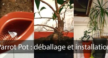 Parrot Pot : déballage et Installation de la plante – (deuxième partie).