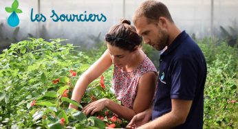 Les sourciers : un rêve de micro ferme en hydroponie et en bioponie