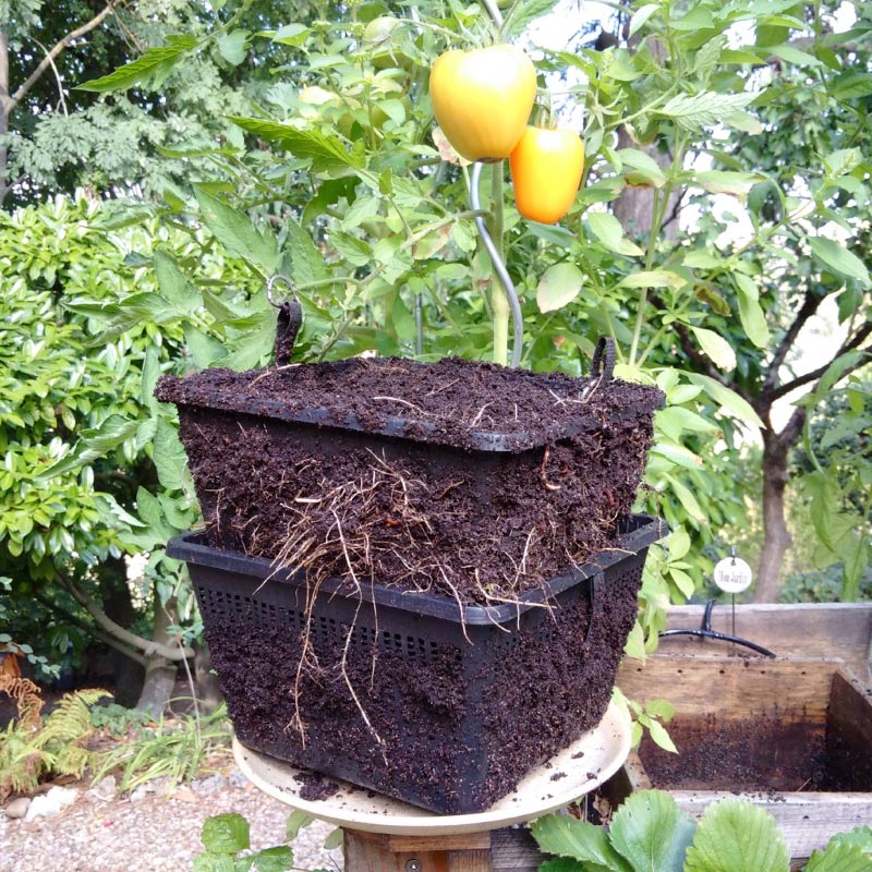 compost potager vertical