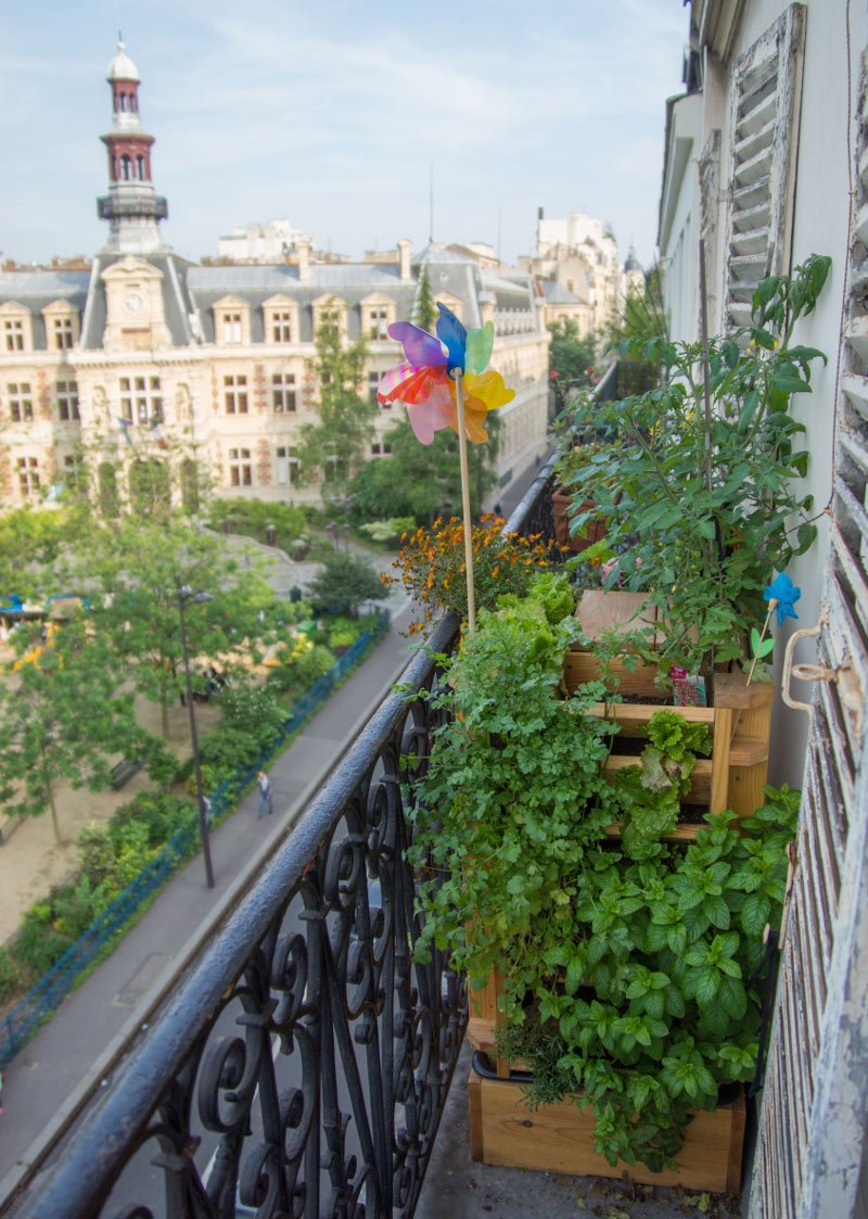 Vertika, le potager composteur qui tient sur un balcon