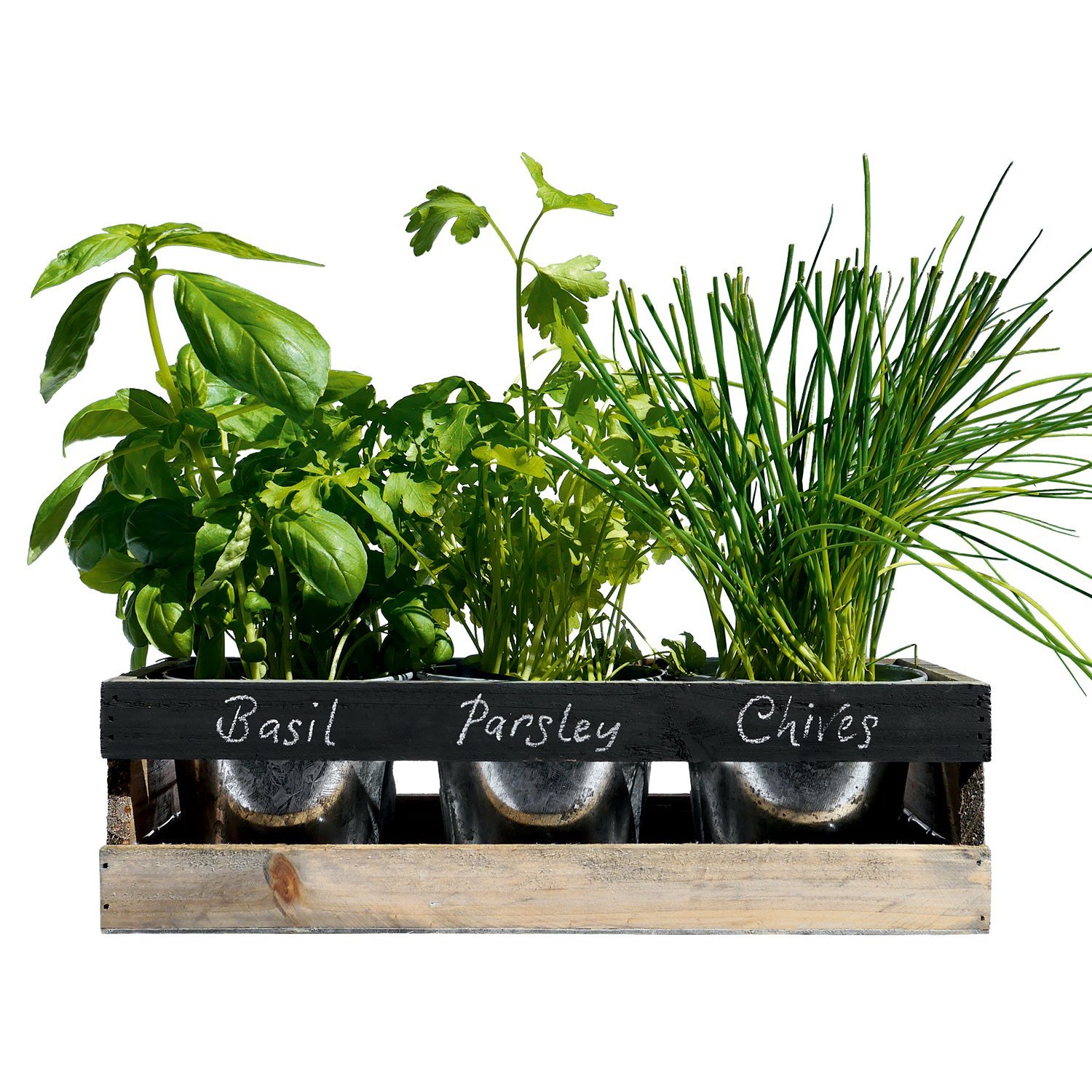 Boîte de culture – Boîte de jardin – Kit de jardin d'herbes aromatiques  d'intérieur –