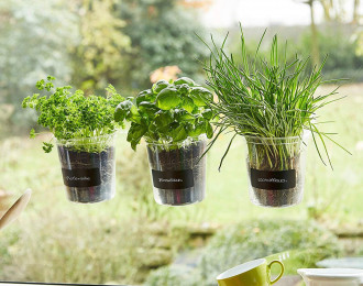 Fresh Herbs Trio – Les trois plantes aromatiques pour fenêtres