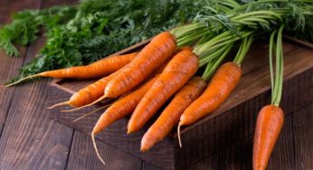 Potagers urbains : Une consommation sans risques ?