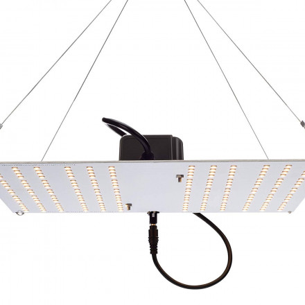 SpectraPANEL X320 - Lampe horticole LED pour 100x60 - Croissance et  floraison - CREE OSRAM 320W