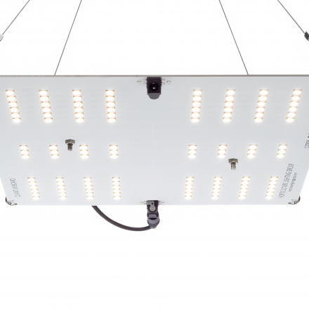 SpectraPANEL X320 - Lampe horticole LED pour 100x60 - Croissance et  floraison - CREE OSRAM 320W