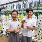 Révolution éducative : découvrez l’école de Singapour qui intègre l’aquaponie pour un avenir plus vert !
