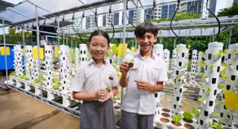Révolution éducative : découvrez l’école de Singapour qui intègre l’aquaponie pour un avenir plus vert !