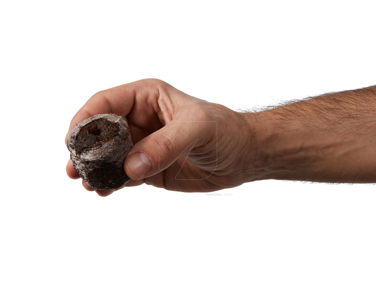 119010-jiffy-turbajpg - Les Hortinautes