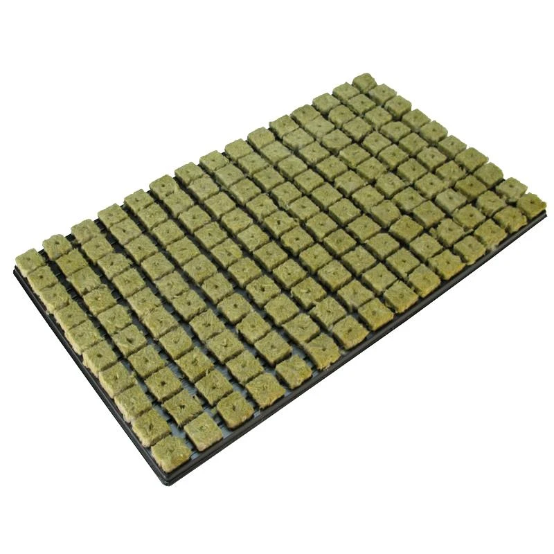 120216_bandeja150plugs_grodanpng - Les Hortinautes