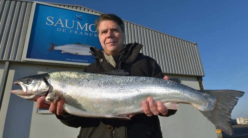 La société Saumon France s'intéresse à l'aquaponie - Les Hortinautes