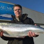 Aquaponie et hydroponie : différences, systèmes de culture et avantages